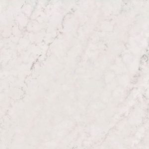 M-A690 Carrara Lion