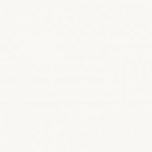 Декор Белый Холодный (Cold White)