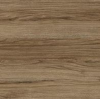 Дуб Катания 528