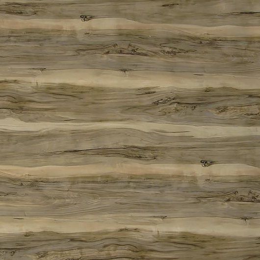 Индийское дерево 690