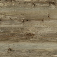 Береза Сандал 521