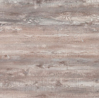 Сосна Калифорния 527