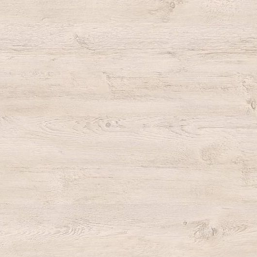 Сосна Санторини 9746