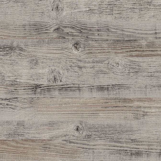 8120 Pino multicolore