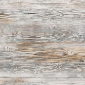 8124 Painted Pine