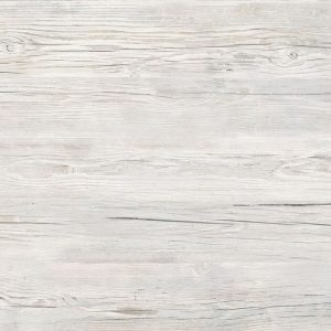 8123 Icy Pine