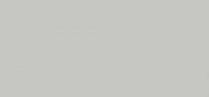 Фото образца или примера работы 0074 FH пастельно-серый 2