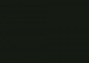 Фото образца или примера работы 0080 FH черный 1