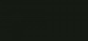 Фото образца или примера работы 0080 FH черный 2