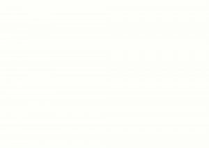 Фото образца или примера работы 0085 FH белый 4