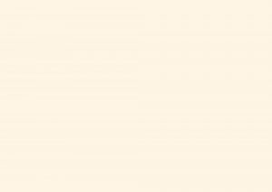 Пример работы 0085 SX белый Фото образца или примера работы 0085 SX белый 2