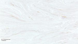 Фото образца или примера работы M-717 A Shrimp Crust 3