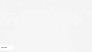 Фото образца или примера работы N 010 White 2