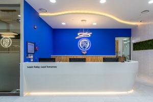 Фото образца или примера работы S006-Arctic-White 2