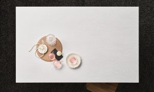 Пример работы ST-101 CLARA Фото образца или примера работы ST-101 CLARA 2