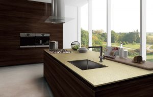 Фото образца или примера работы VE26 Shasta 1