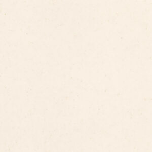 Фото образца или примера работы AS642 Seashell 1