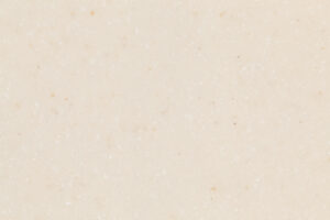 AS642 Seashell