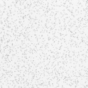 Фото образца или примера работы QD212 Dalmatian 1