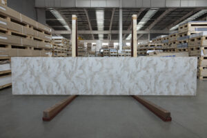 Фото образца или примера работы VD175 Dandelion 2