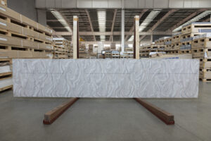 Фото образца или примера работы VD175 Dandelion 1