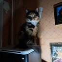 Александр