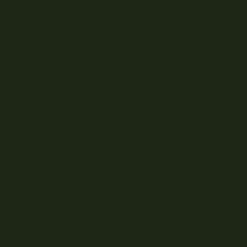 Чёрный 1113Т