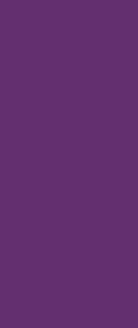 Фото образца или примера работы Фиолетовый 2770 1
