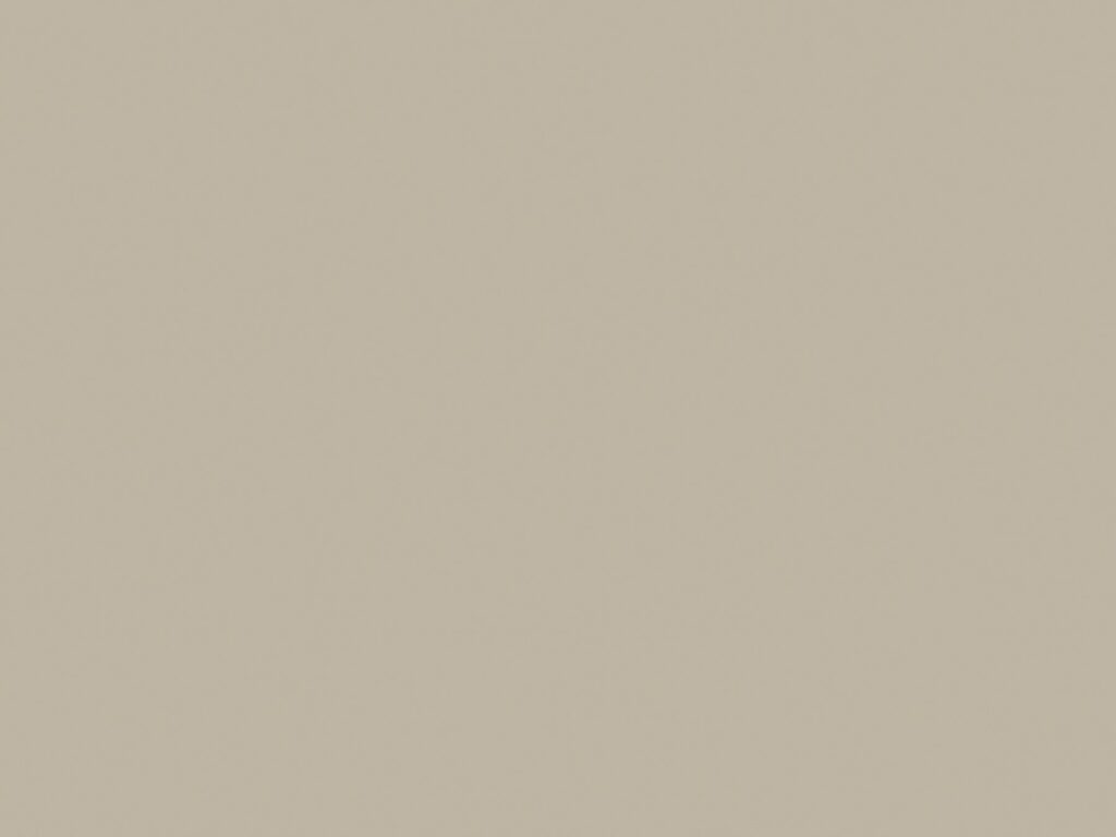 Elegant Gray