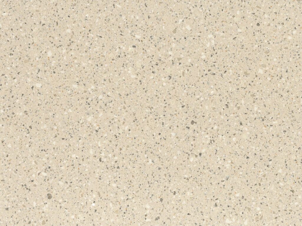 Fossil