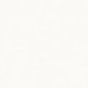 1141 Pure white