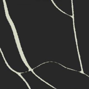Q765 Nero Marquina