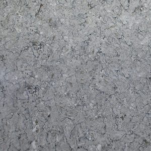 TT 2207 JUMBO
