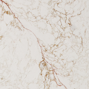 A84 D,Oro Forest Sughero