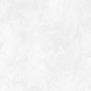 Q913 Moon White (M)