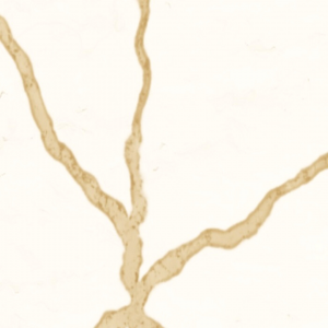 Q785 Calacatta Gold