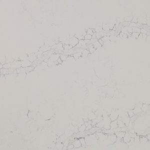 EQHM 003 Canvas